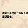 墨分五色是哪五色呢（墨分五色是哪五色）
