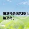 精卫鸟是现代的什么鸟（精卫鸟）