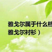 雅戈尔属于什么档次（雅戈尔衬衫）