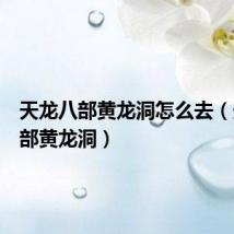 天龙八部黄龙洞怎么去(天龙八部黄龙洞)