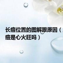 长痘位置的图解跟原因(眉心长痘是心火旺吗)