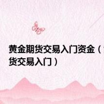 黄金期货交易入门资金（黄金期货交易入门）