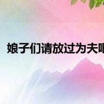 娘子们请放过为夫吧gl