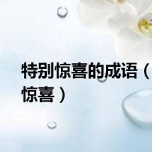 特别惊喜的成语（特别惊喜）