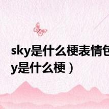 sky是什么梗表情包(sky是什么梗)