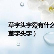 草字头字旁有什么字（草字头字）
