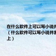 在什么软件上可以写小说并且发布?(什么软件可以写小说并发表到网上)