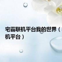 宅霸联机平台我的世界(宅霸联机平台)