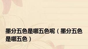 墨分五色是哪五色呢（墨分五色是哪五色）