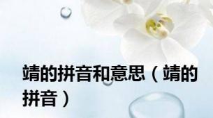 靖的拼音和意思（靖的拼音）