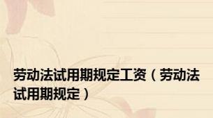 劳动法试用期规定工资（劳动法试用期规定）