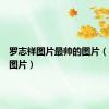罗志祥图片最帅的图片（罗志祥图片）