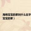 海绵宝宝的家叫什么名字（海绵宝宝的家）