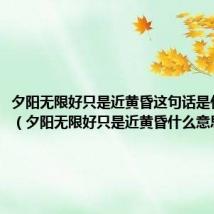 夕阳无限好只是近黄昏这句话是什么意思(夕阳无限好只是近黄昏什么意思)