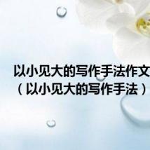 以小见大的写作手法作文600字(以小见大的写作手法)