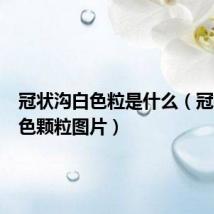 冠状沟白色粒是什么(冠状沟白色颗粒图片)