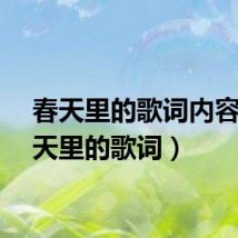 春天里的歌词内容（春天里的歌词）