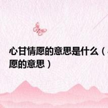 心甘情愿的意思是什么(心甘情愿的意思)