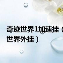 奇迹世界1加速挂（奇迹世界外挂）