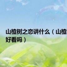山楂树之恋讲什么(山楂树之恋好看吗)