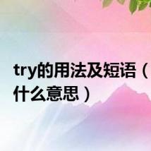 try的用法及短语(try是什么意思)