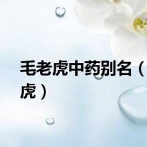 毛老虎中药别名（毛老虎）
