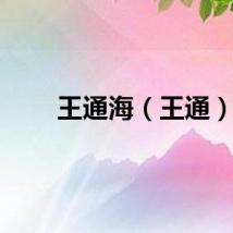 王通海（王通）