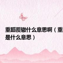 重蹈覆辙什么意思啊（重蹈覆辙是什么意思）