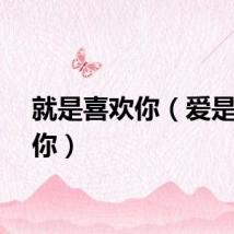 就是喜欢你（爱是喜欢你）