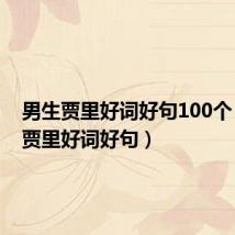 男生贾里好词好句100个(男生贾里好词好句)