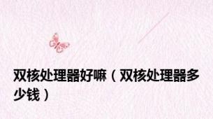 双核处理器好嘛（双核处理器多少钱）