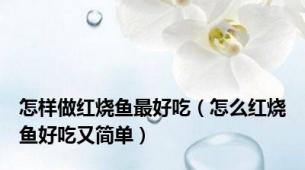 怎样做红烧鱼最好吃（怎么红烧鱼好吃又简单）