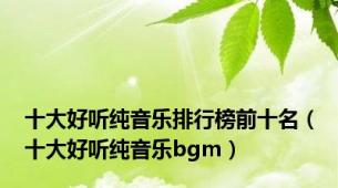 十大好听纯音乐排行榜前十名（十大好听纯音乐bgm）