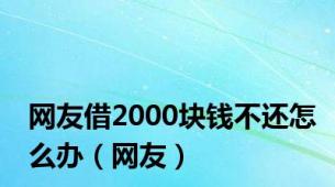 网友借2000块钱不还怎么办（网友）