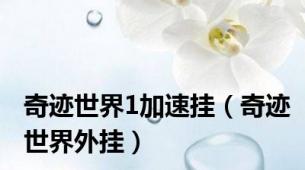 奇迹世界1加速挂（奇迹世界外挂）