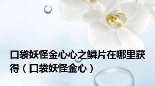 口袋妖怪金心心之鳞片在哪里获得（口袋妖怪金心）