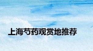 上海芍药观赏地推荐