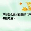 芦荟怎么养才能养好（芦荟怎么养殖方法）