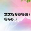 龙之谷专职等级（龙之谷专职）
