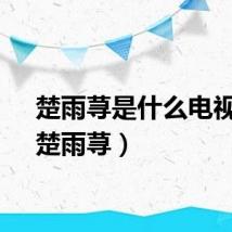 楚雨荨是什么电视剧（楚雨荨）