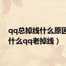 qq总掉线什么原因(为什么qq老掉线)