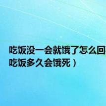 吃饭没一会就饿了怎么回事(不吃饭多久会饿死)