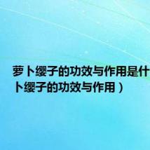 萝卜缨子的功效与作用是什么(萝卜缨子的功效与作用)