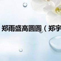 郑雨盛高圆圆（郑宇成）