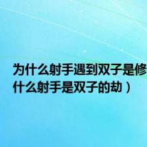 为什么射手遇到双子是修仙(为什么射手是双子的劫)