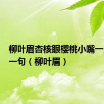 柳叶眉杏核眼樱桃小嘴一点点下一句(柳叶眉)