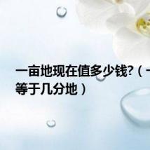 一亩地现在值多少钱?(一亩地等于几分地)