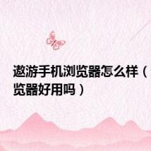 遨游手机浏览器怎么样(遨游浏览器好用吗)