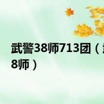 武警38师713团(武警38师)