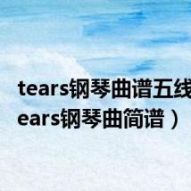 tears钢琴曲谱五线谱(tears钢琴曲简谱)